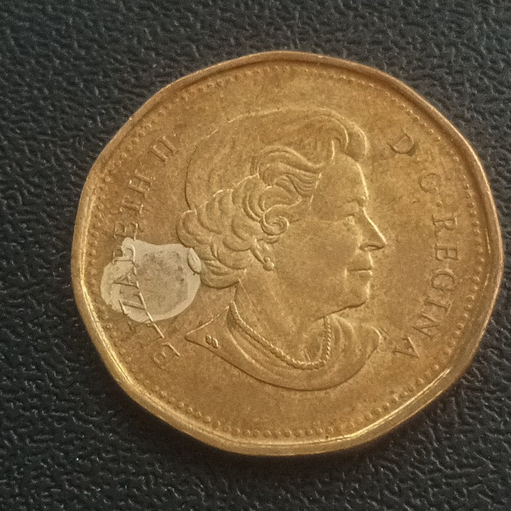 1 Dollar 2011 (Centenary of Parks Canada) - Canada Circulating Commemorative coin