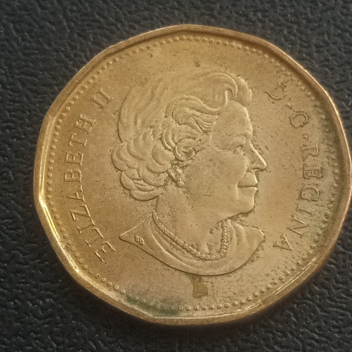 1 Dollar (100th Anniversary of the Saskatchewan Roughriders) - Canada Circulating Commemorative coin