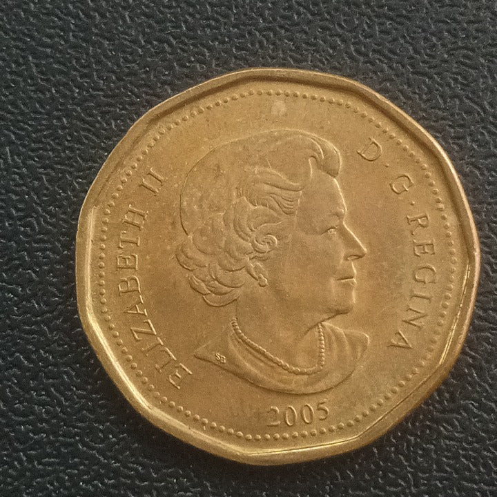 1 Dollar 2005 (25th Anniversary of the Marathon of Hope) - Canada Circulating Commemorative coin