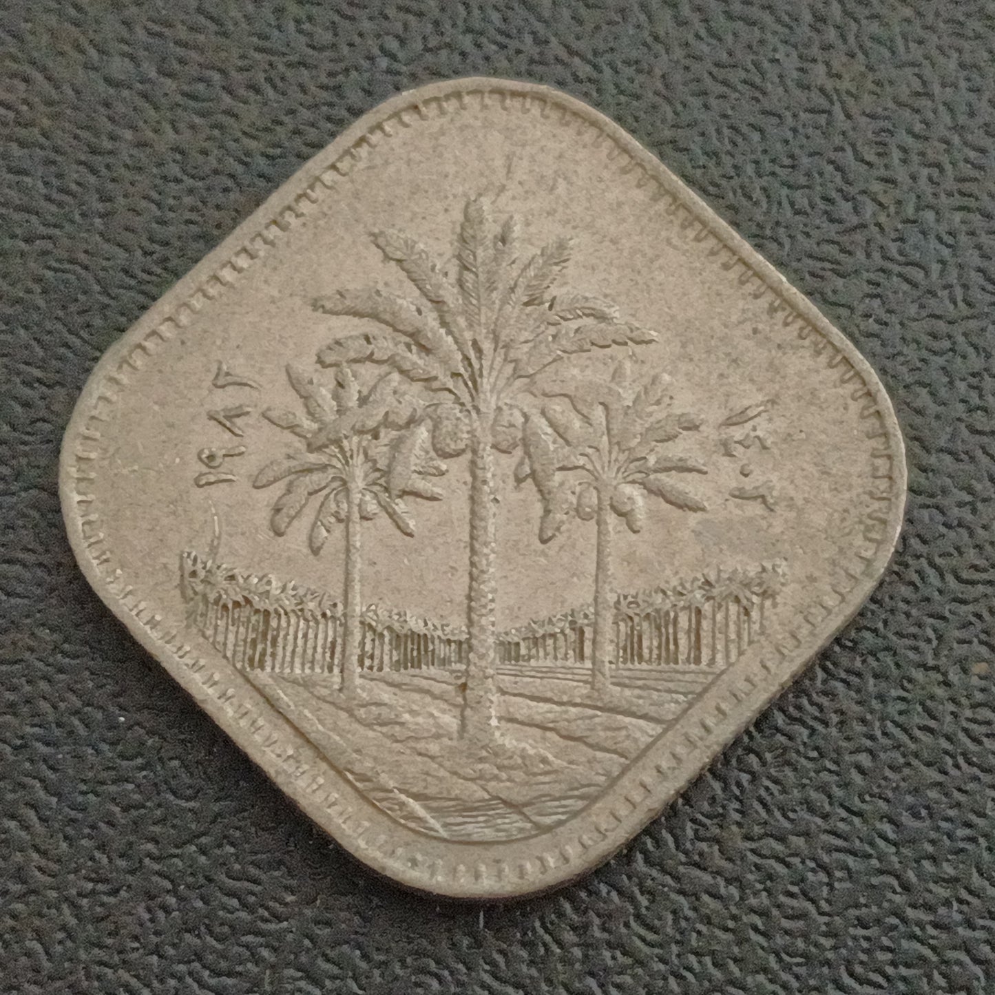 500 Fils 1982 - Iraq (Scarce)