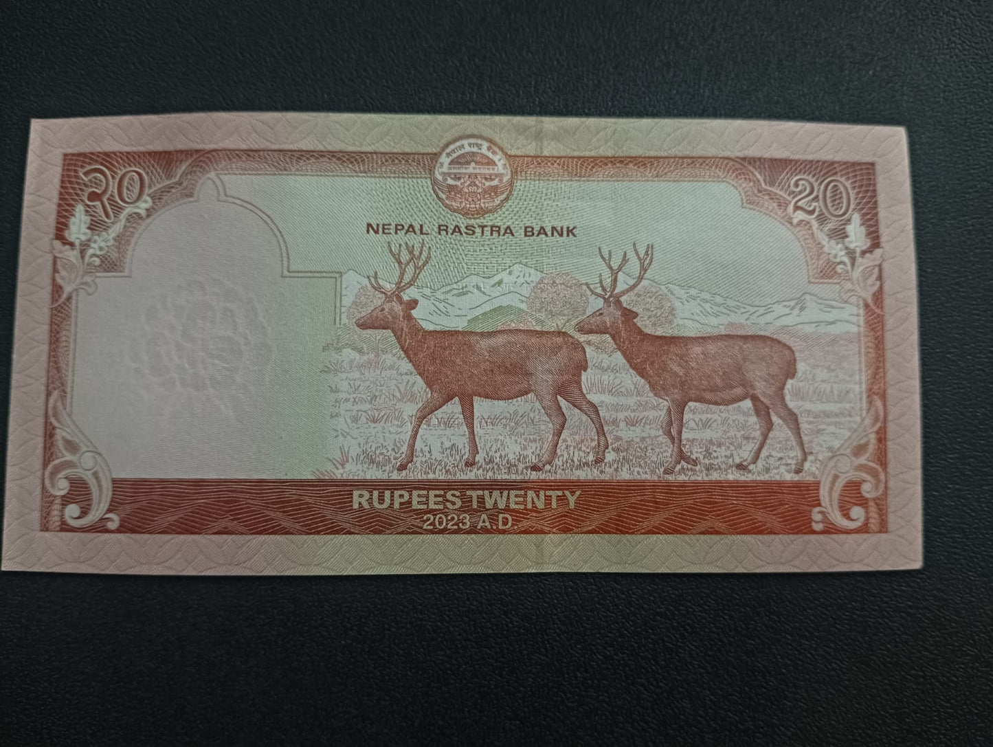 20 Rupees 2023 UNC - Nepal
