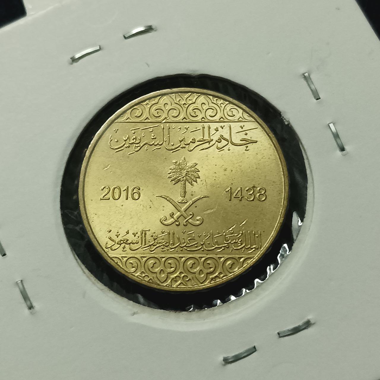 25 Halalas 2016 - Saudi Arabia