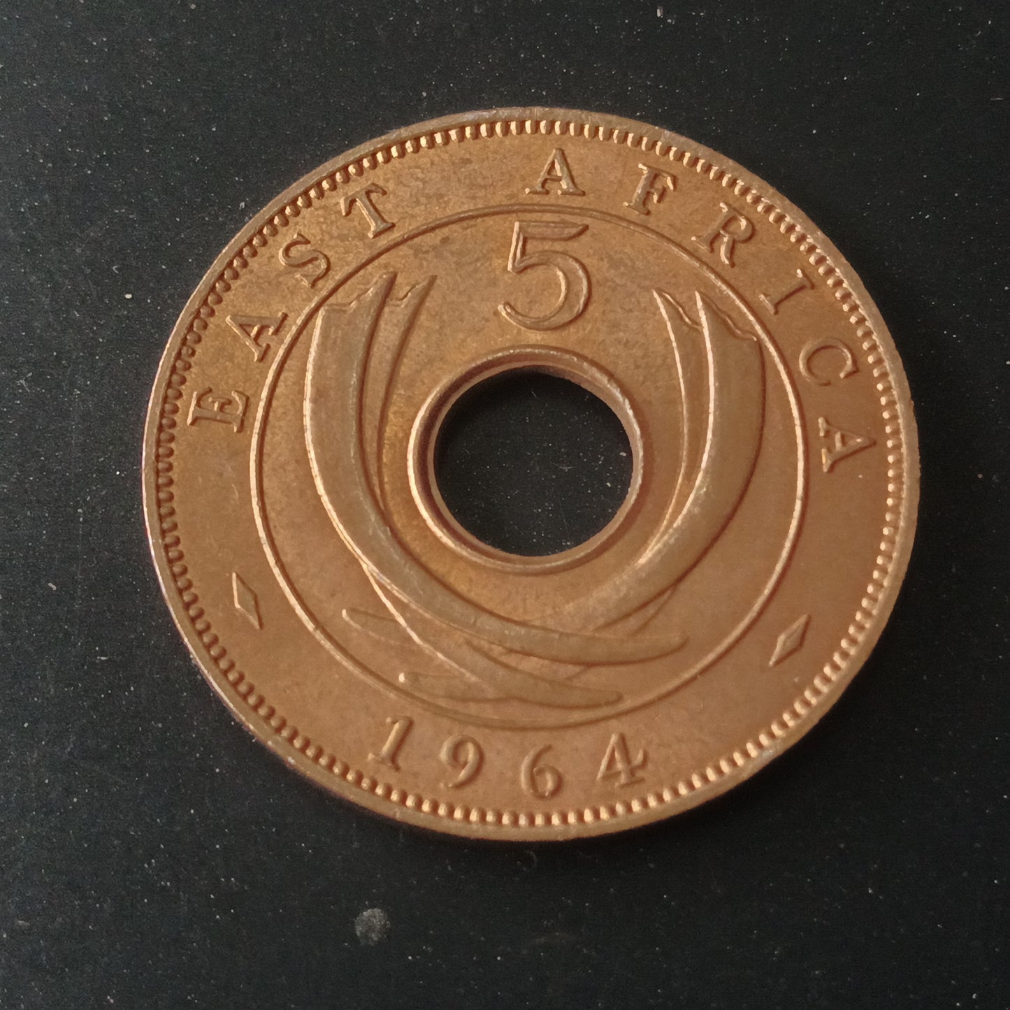 5 Cents 1964 XF - East Africa (Ref : AUC1456)