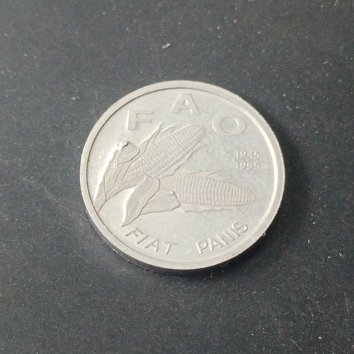 1 Lipa (FAO) 1996 AUNC - Croatia