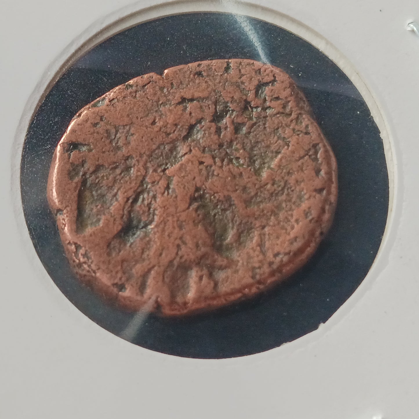 Didrachm - Vasudeva I (195AD-230AD) - Kushan Empire - (Ref: AUC1564)
