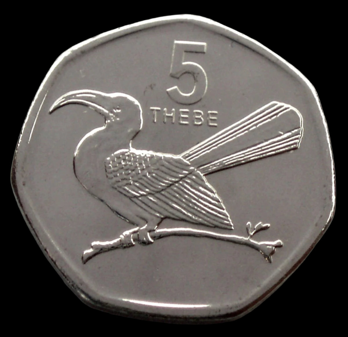 5 Thebe 2013 - Botswana