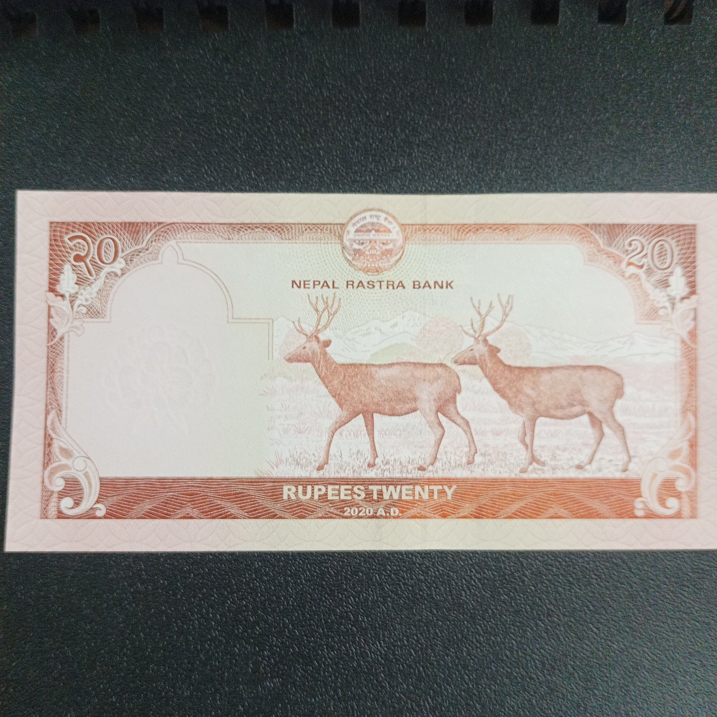 20 Rupees 2020 UNC - Nepal