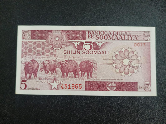 5 Shillings 1987 UNC - Somalia (Scarce)