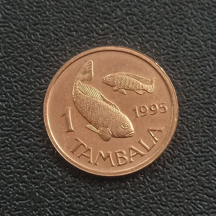 1 Tambal 1995 UNC - Malawi (Non Magnetic)