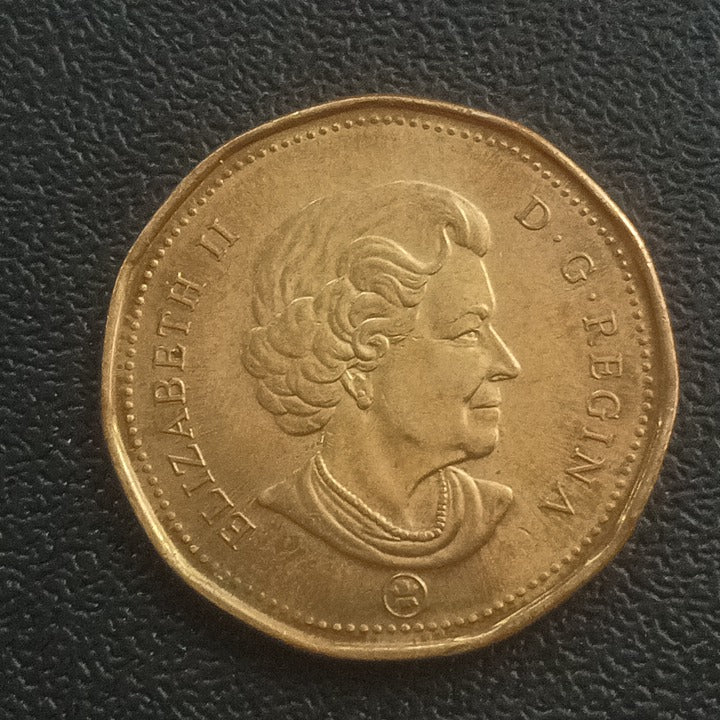 1 Dollar 2009 (100th Anniversary of the Montreal Canadiens) - Canada Circulating Commemorative coin