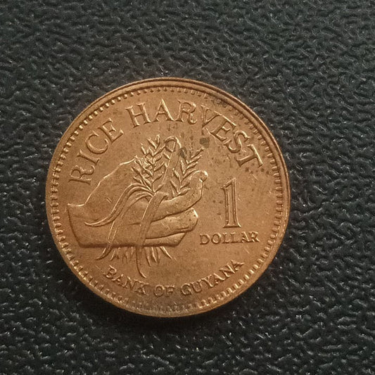 1 Dollar 2008 - Guyana