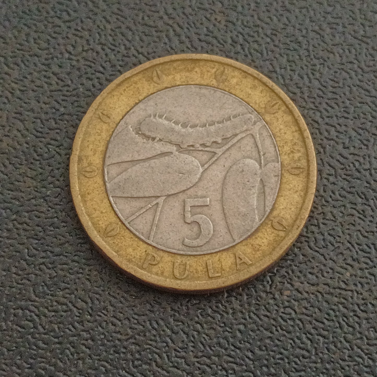5 Pula 2007 - Botswana