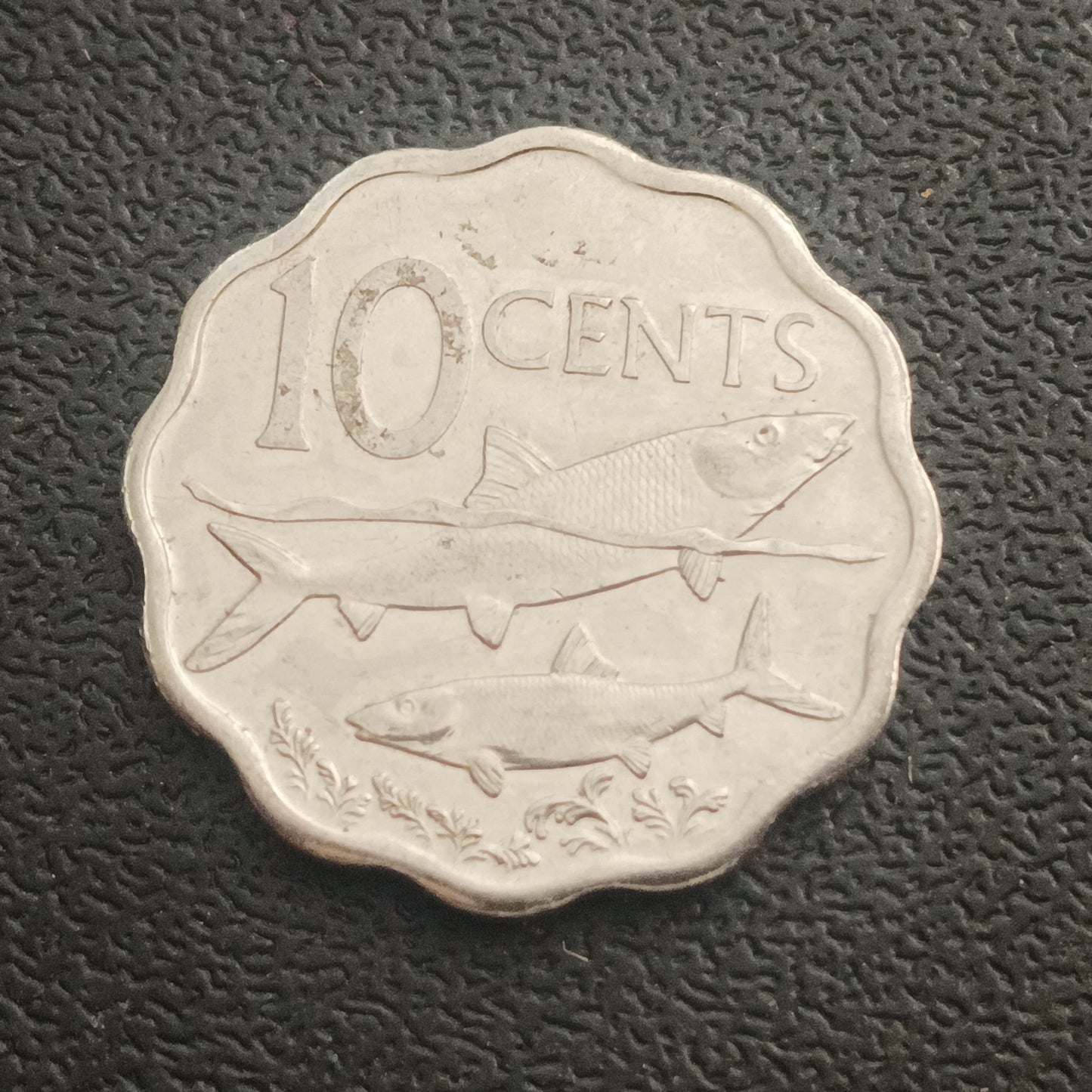 10 Cents 2007 AUNC - Bahamas