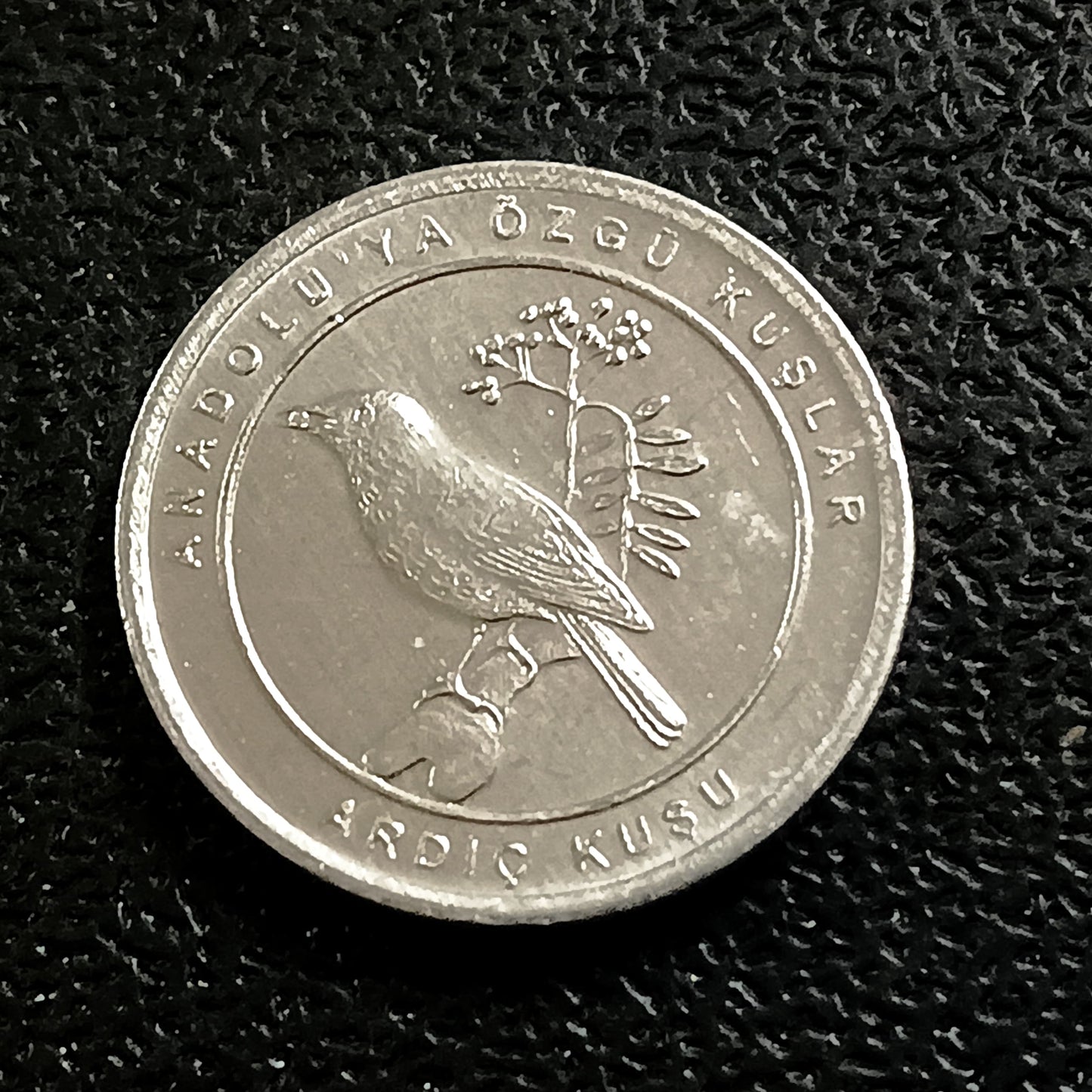 1 Kurus 2020 UNC (Song thrush) - Turkey : Birds of Anatolia Series