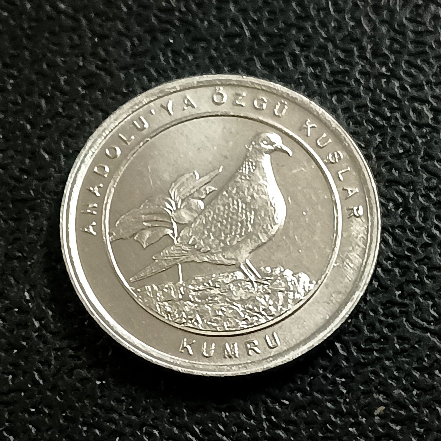 1 Kurus 2020 UNC (Eurasian collared dove) - Turkey : Birds of Anatolia Series