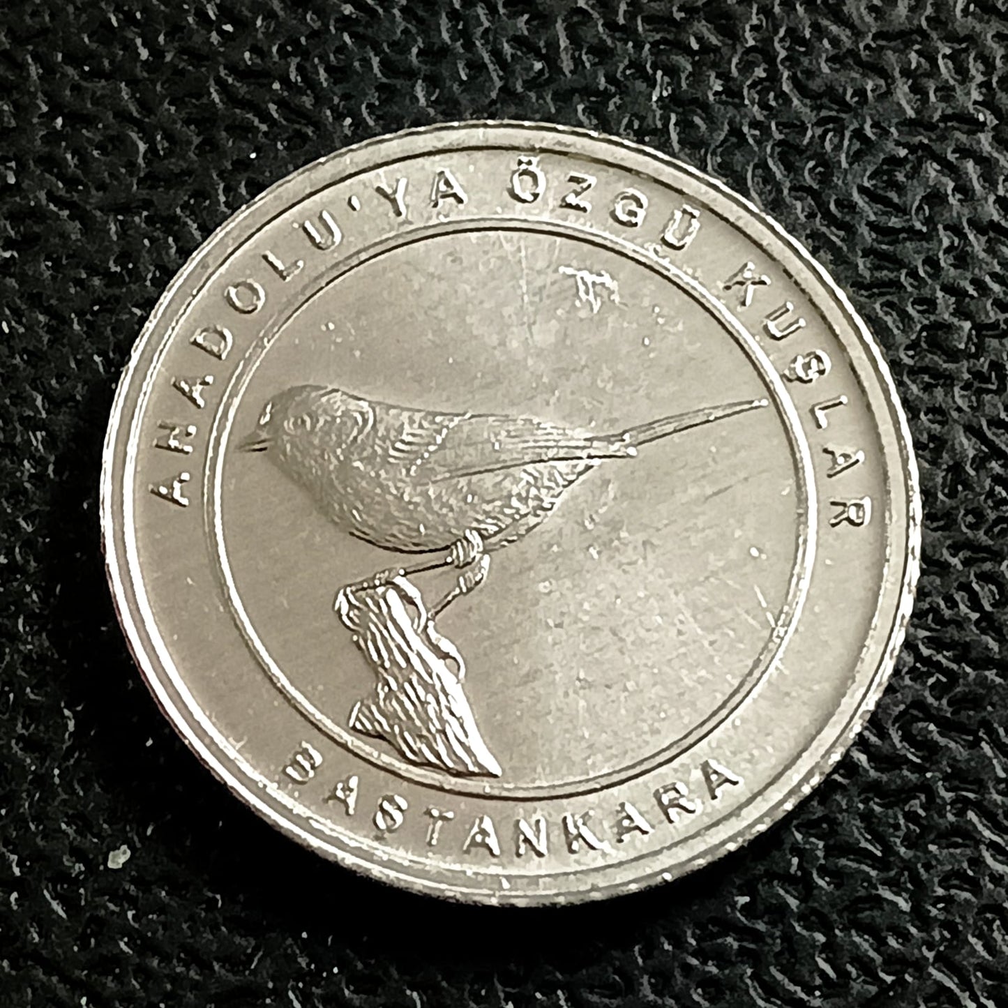 1 Kurus 2020 UNC(Tit) - Turkey : Birds of Anatolia Series