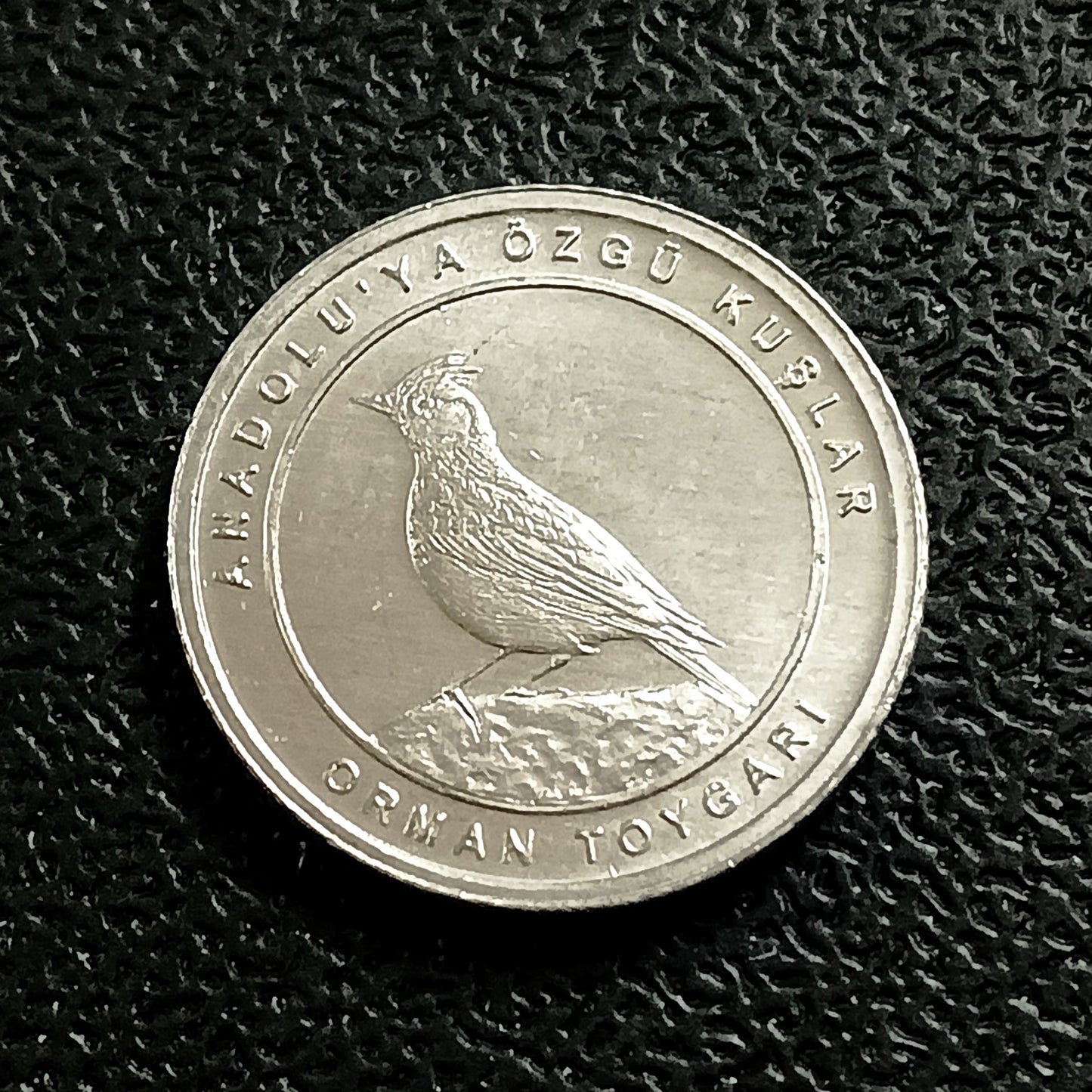 1 Kurus 2020 UNC (Woodlark) - Turkey : Birds of Anatolia Series