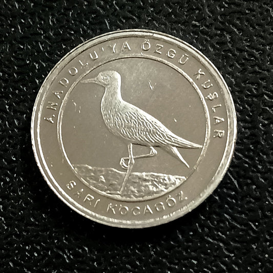 1 Kurus 2020 UNC (Stone-Curlew) - Turkey : Birds of Anatolia Series