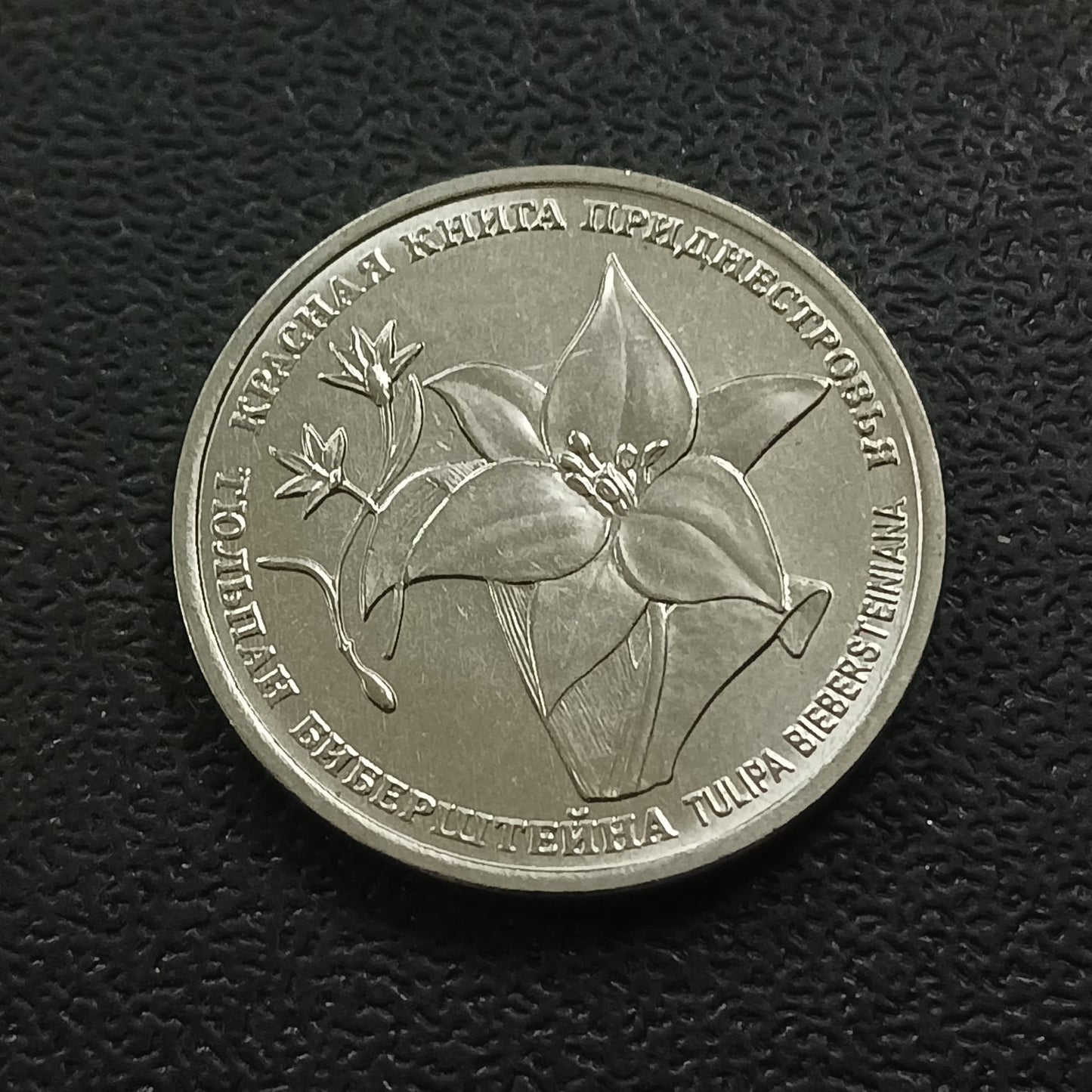1 Rouble 2019 UNC ( Bieberstein Tulip) - Transnistria