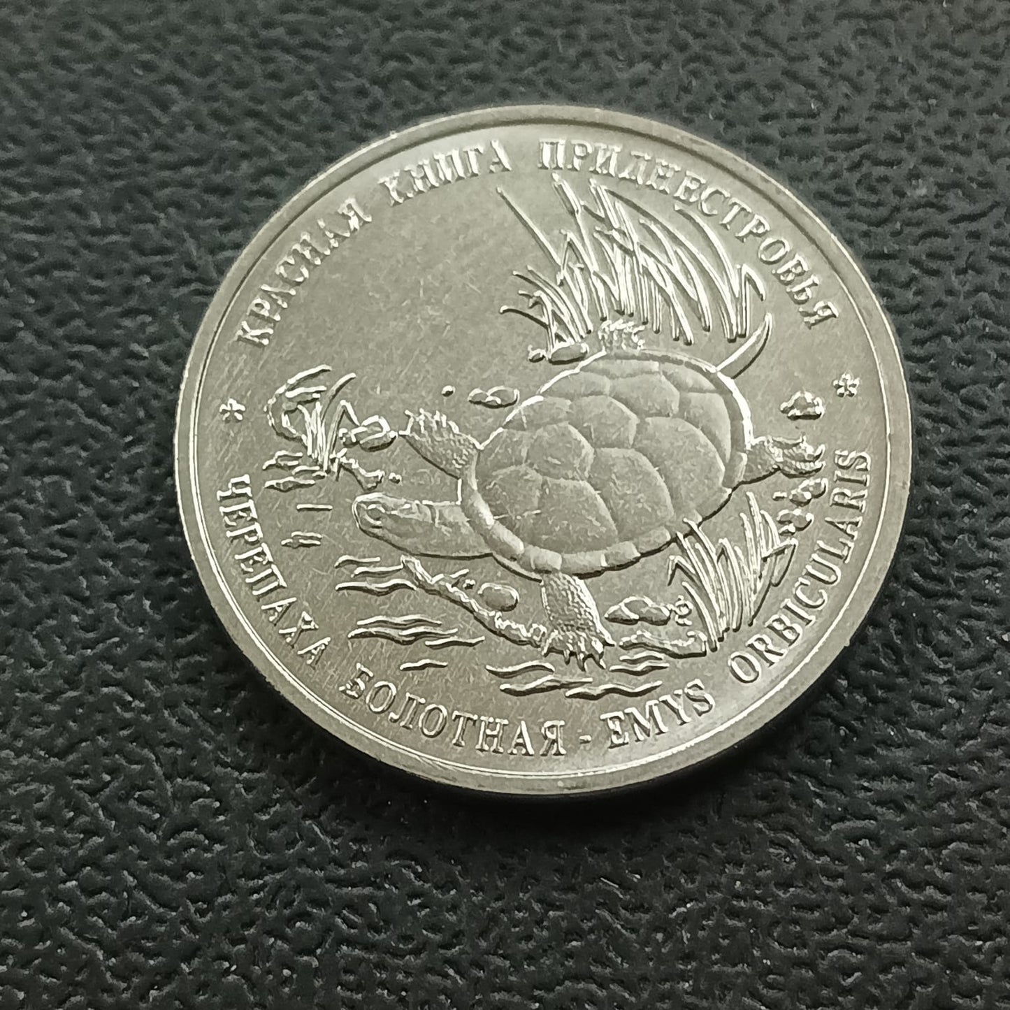 1 Rouble 2018 UNC (European pond turtle) - Transnistria