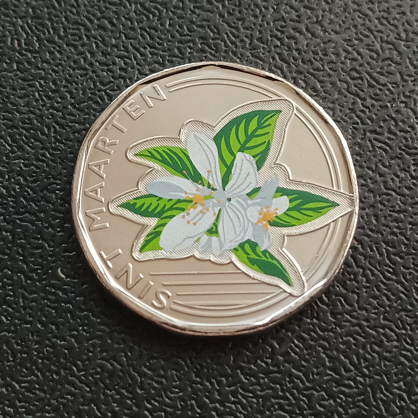 50 Cents 2025 UNC (Colourised) - Sint Maarten