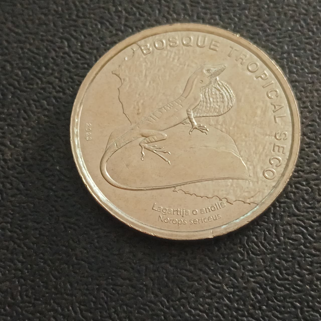 50 Colones (Silky anole) 2023 UNC - Costa Rica