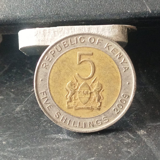 5 Shillings (2005-2010)  - Kenya