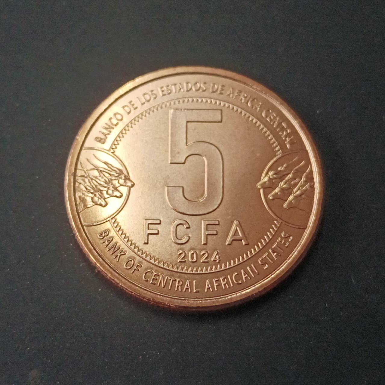 5 Francs CFA 2024 UNC - Central African States