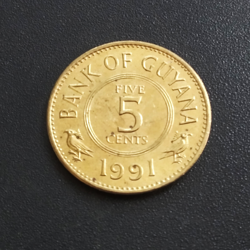 5 Cents 1991 - Guyana