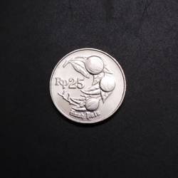 25 Rupiah 1994 UNC - Indonesia