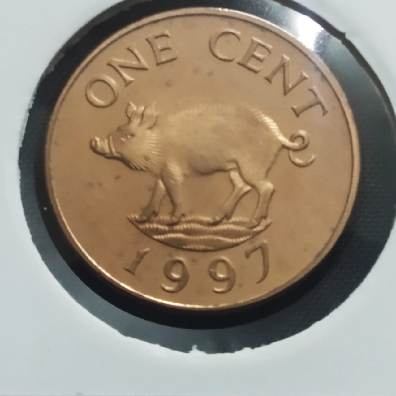 1 Cent - Bermuda