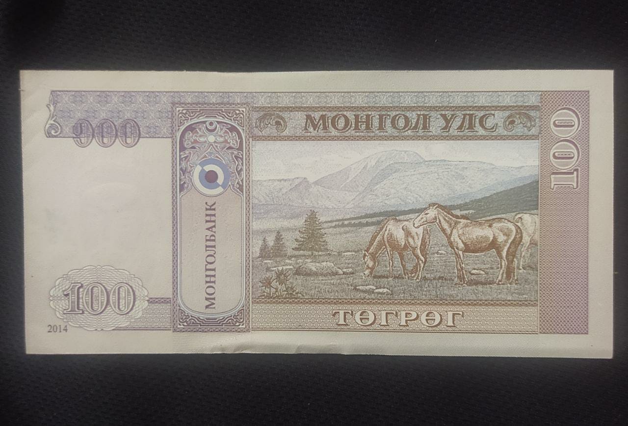 100 Togrog - Mongolia