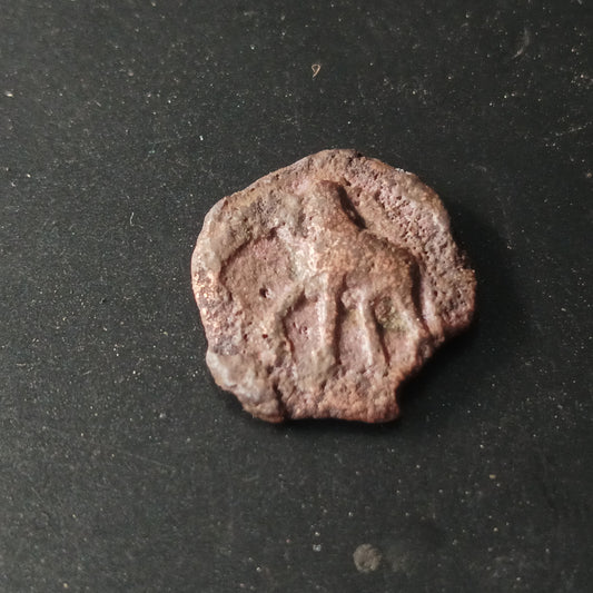 1/4 Karshapana  (185 BC - 73 BC) - Sunga Dynasty Rare - (Ref : AUC1563)