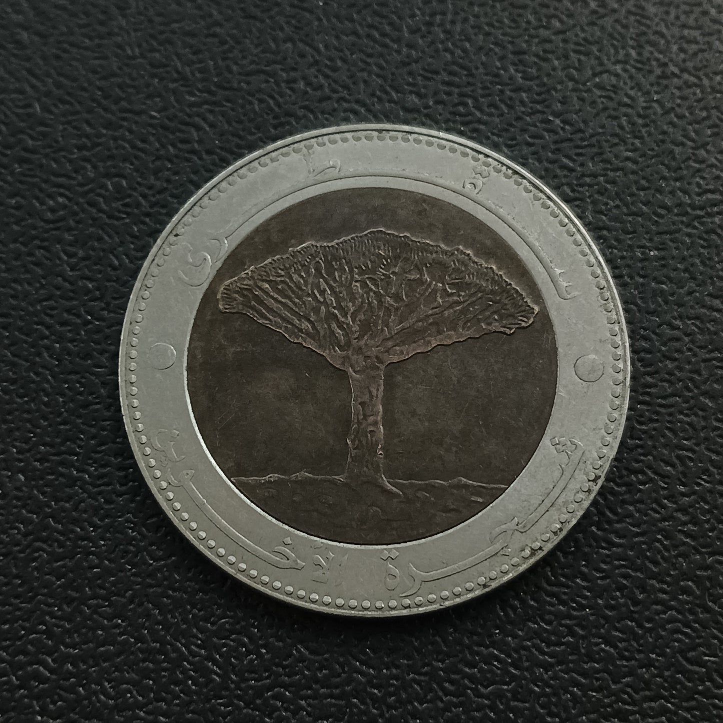 20 Rials 1425AH (2004 AD) - Yemen