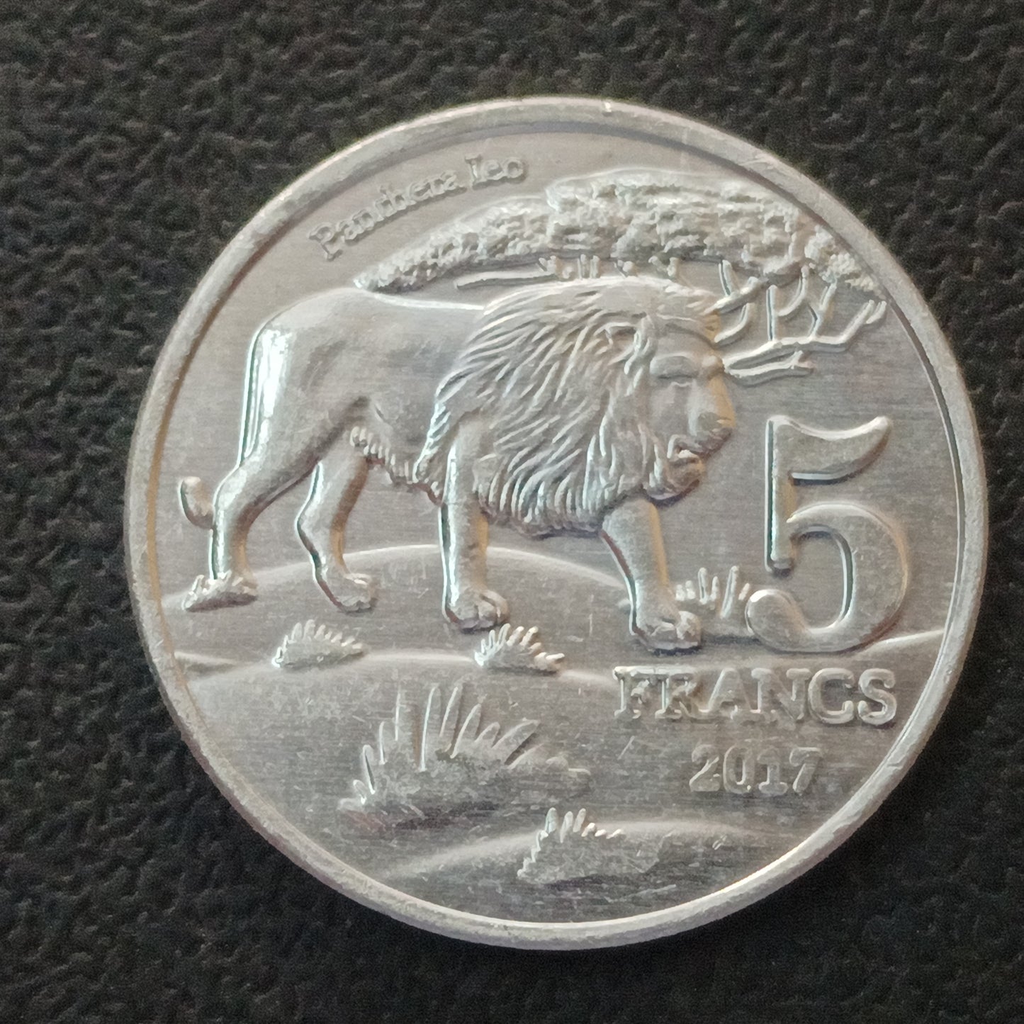 5 Francs 2017 UNC(Big Five: Lion) - Katanga