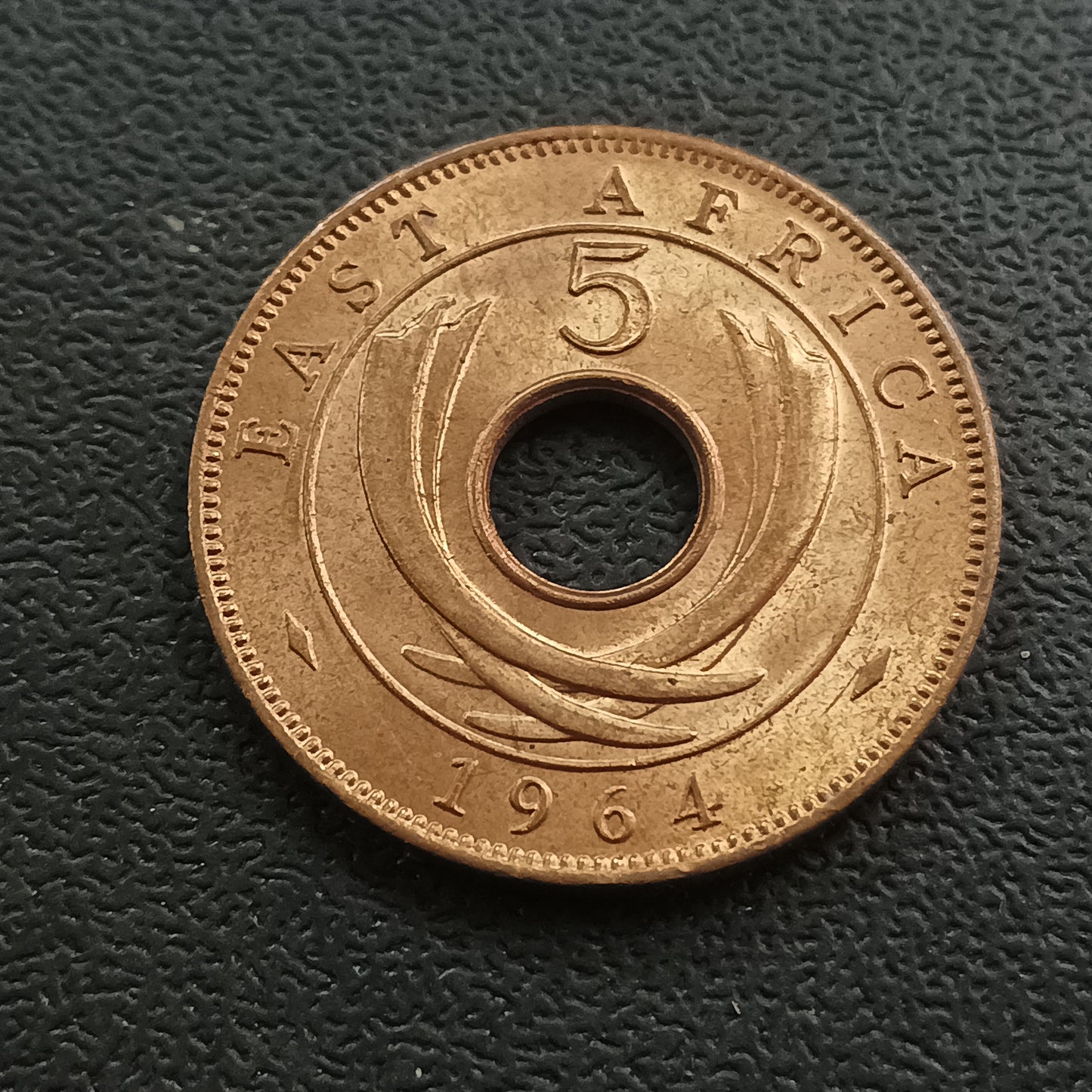 5 Cents 1964 XF+ - East Africa (Ref : 291202)