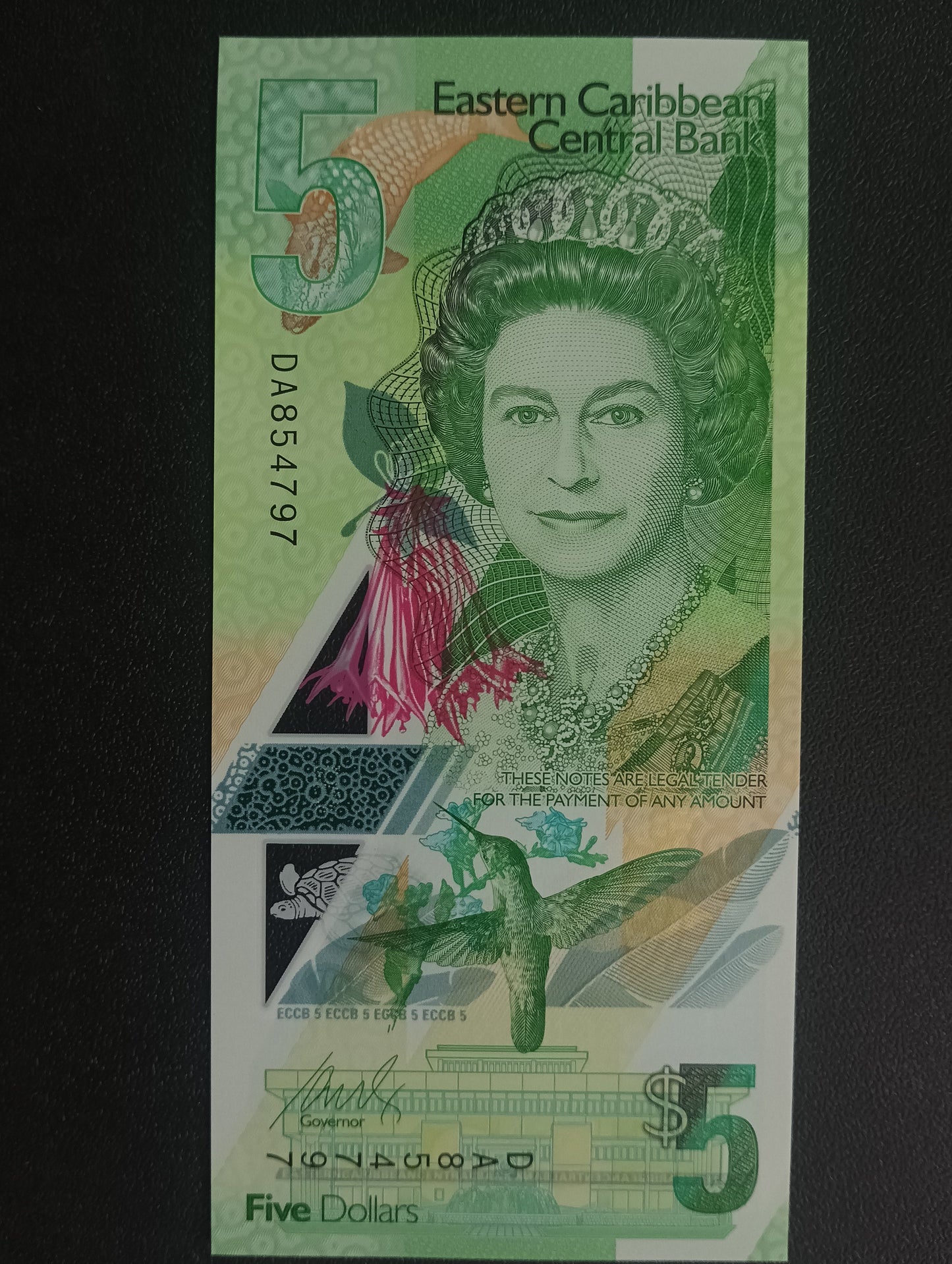 5 Dollars 2021 UNC Polymer Note - East Caribbean States