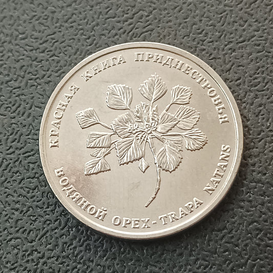 1 Rouble (Water caltrop) 2019 UNC - Transnistria Non Circulating Commemorative Coin