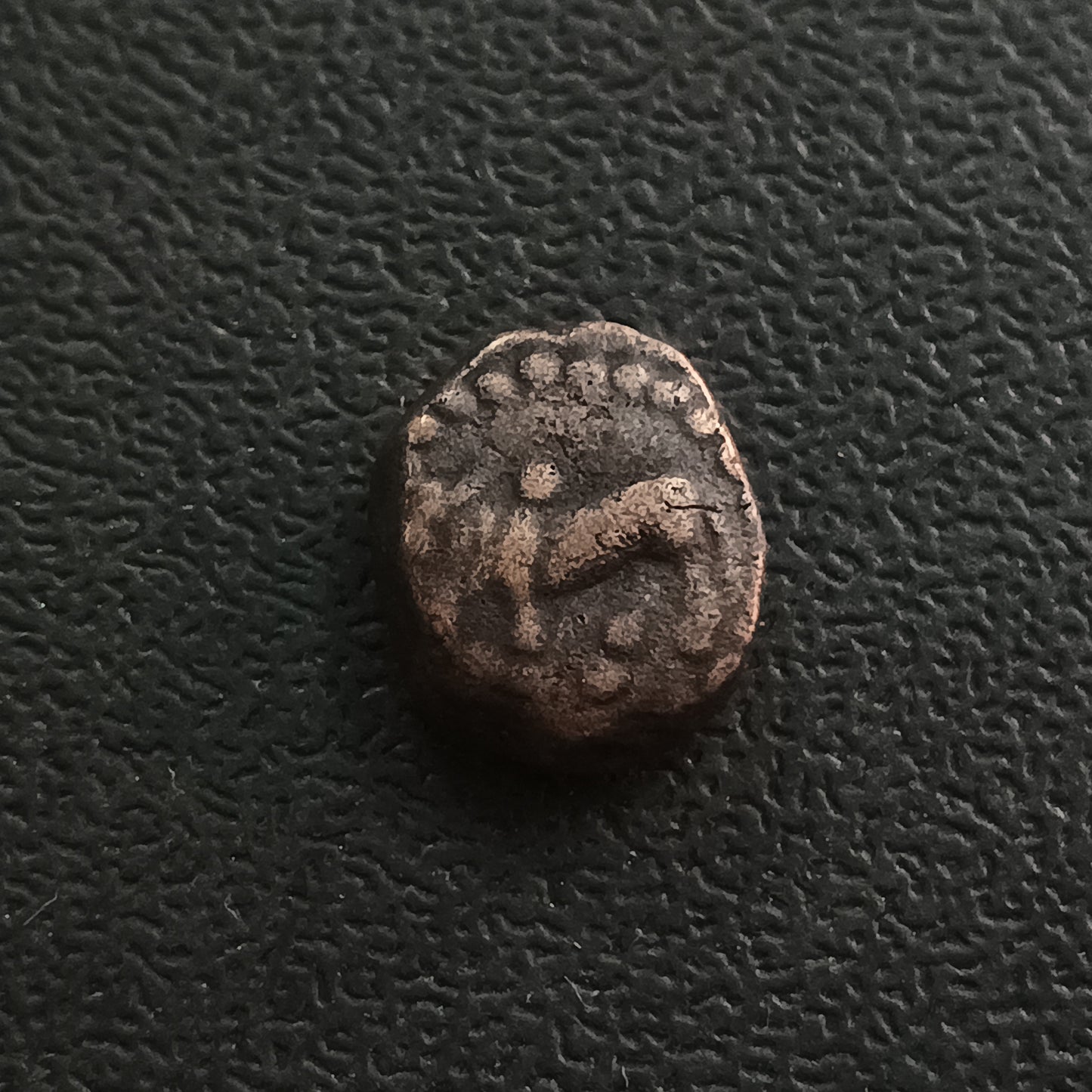 1 Kakini (200 AD - 340AD) - Naga Dynasty of Narwar (Ref : AUC0960)