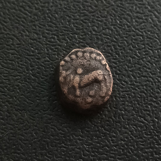1 Kakini (200 AD - 340AD) - Naga Dynasty of Narwar (Ref : AUC0960)