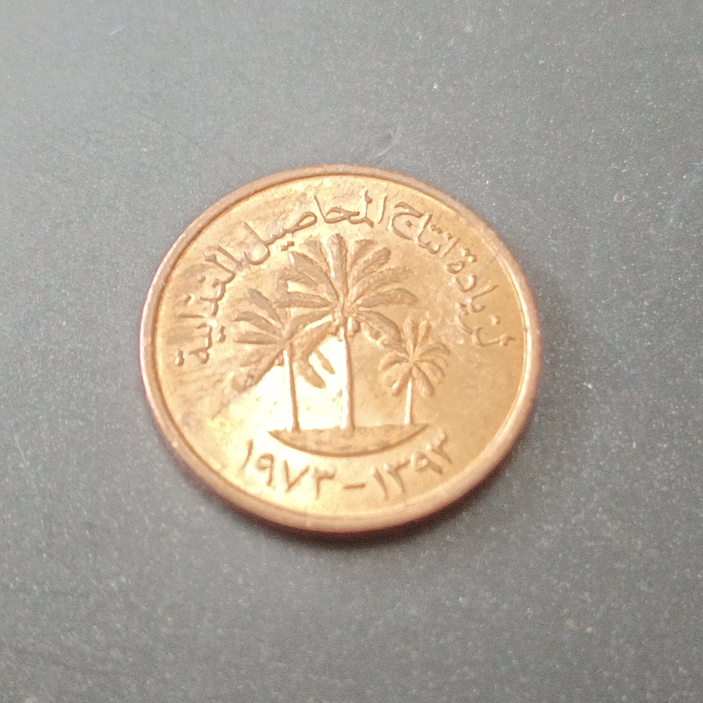 1 Fils 1973 (FAO) - U.A.E