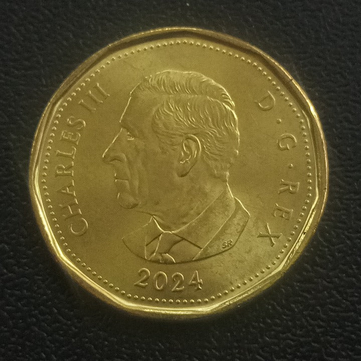 1 Dollar 2024 UNC (150th Birth Anniversary of L.M. Montgomery) - Canada Colored Coin