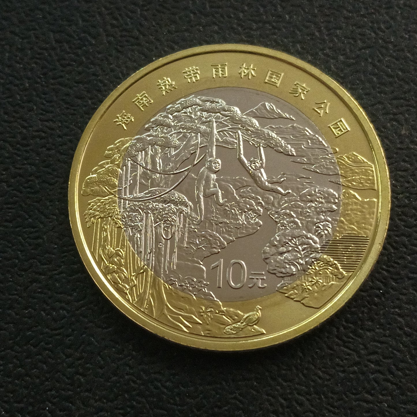 10 Yuan (Hainan Tropical Rainforest National Park) 2025 UNC - China