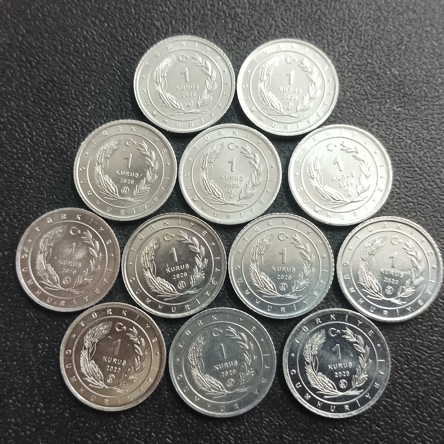1 Kurus 2020 UNC - Set of 12 Coins : Birds of Anatolia Series (Non Circulating Coins)