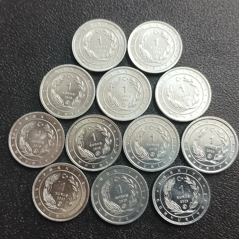 1 Kurus 2020 UNC - Set of 12 Coins : Birds of Anatolia Series (Non Circulating Coins)