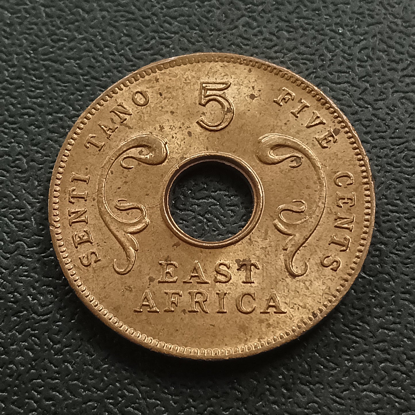 5 Cents 1964 XF- East Africa (Ref : AUC0956)