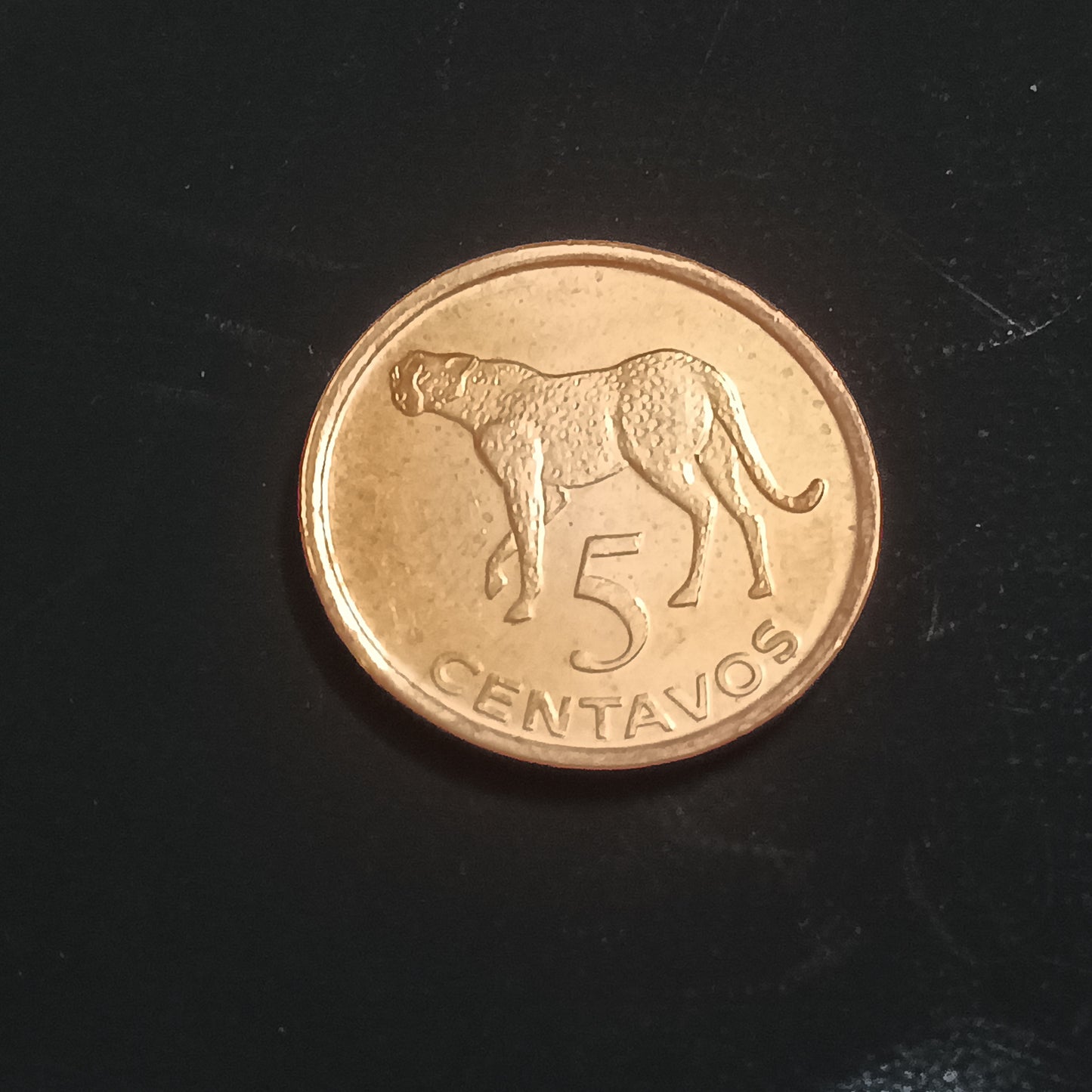 5 Centavos 2006 UNC - Mozambique