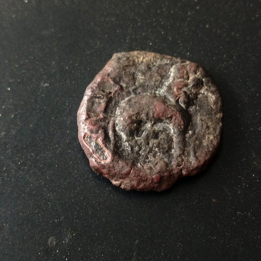 1 Karshapana - Satakarni(230 BC - 107 AD) - 	Satavahana Empire - (Ref: AUC1569)