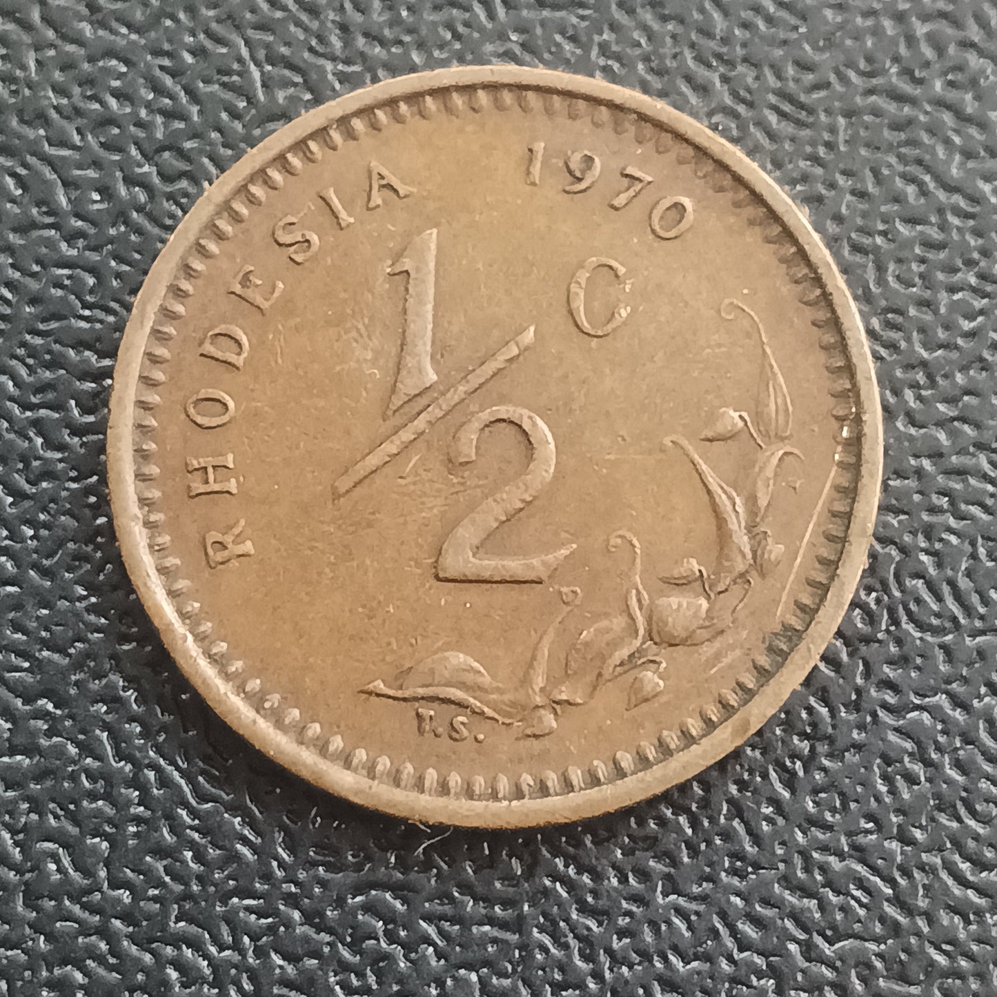 1/2 Cent  - Rhodesia