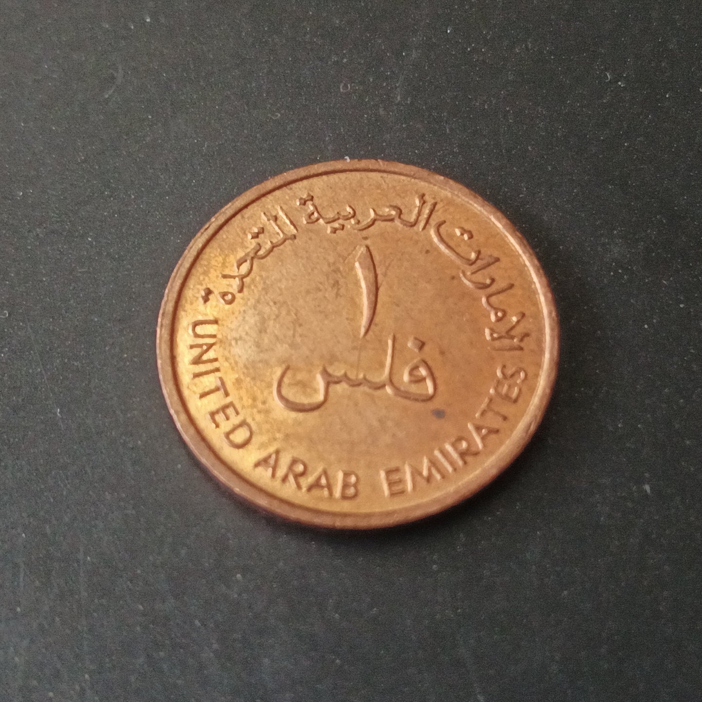 1 Fils 1973 (FAO) - U.A.E